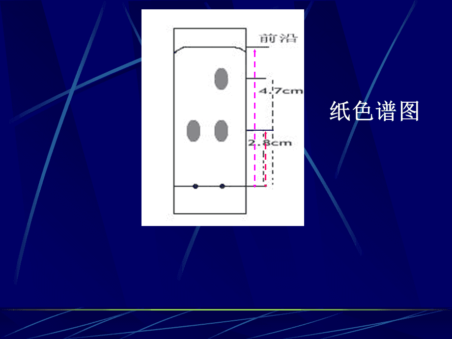 纸色谱的固定相