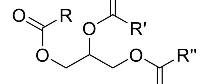 酯属于脂质吗