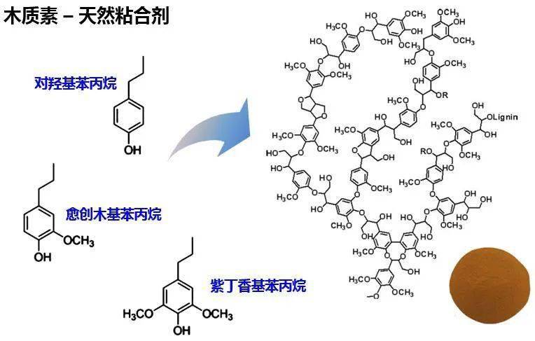 竹木质素