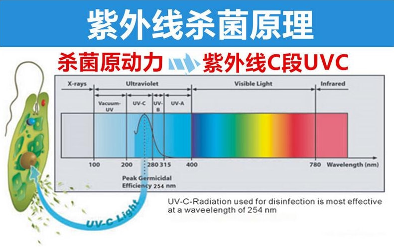 紫外会破坏抗生素吗