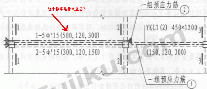 预应力钢筋标注