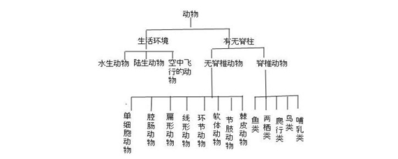 动物分类系统