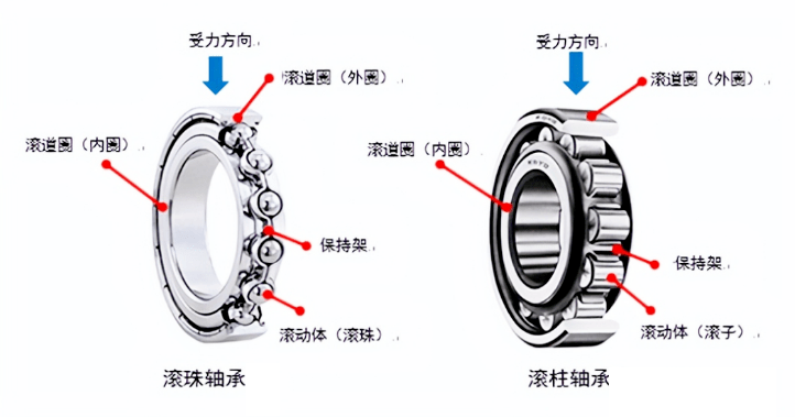 汽车轴承构造图