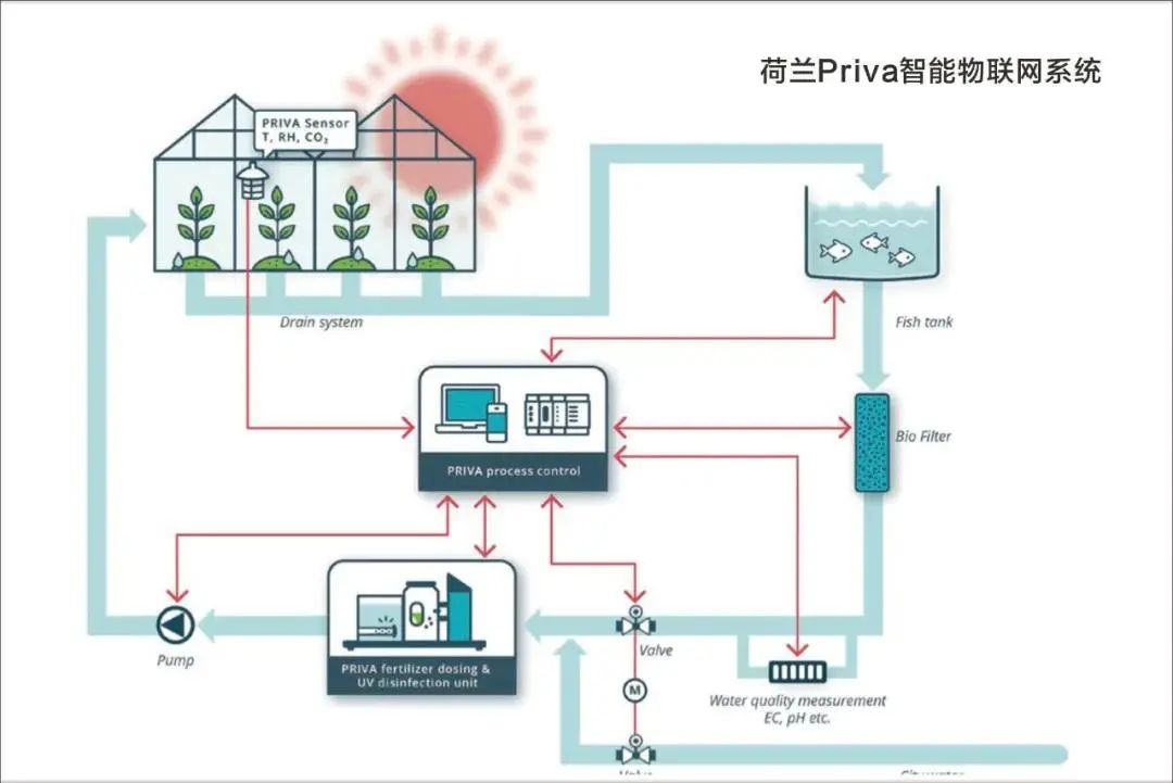 控制器与开关与果蔬回收的区别在哪