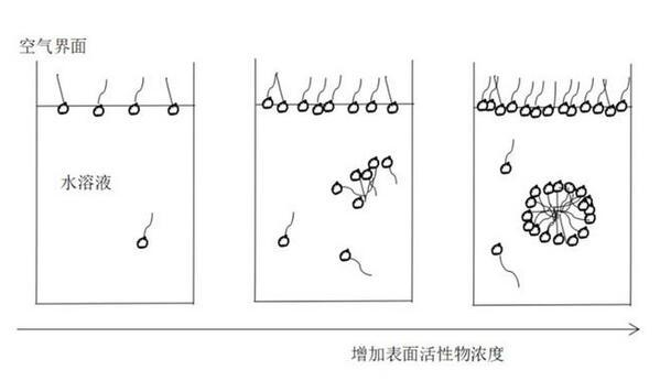 表面活性剂在洗涤过程中发挥了什么作用?