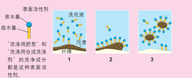 简要说明表面活性剂洗涤作用的原理!