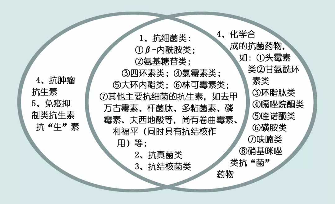 蔬菜中的抗生素