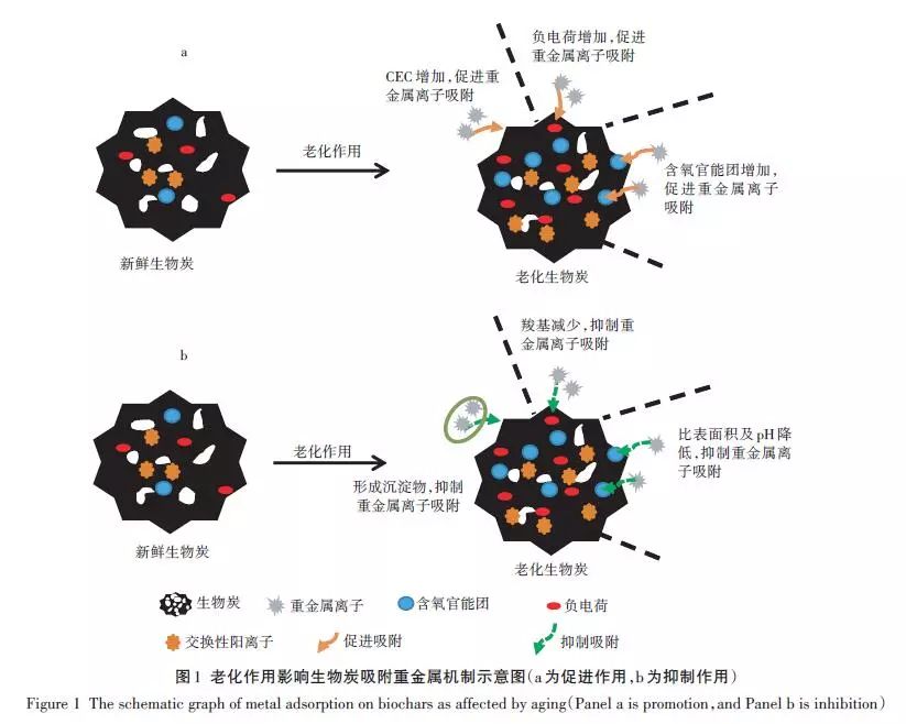 成核剂机理