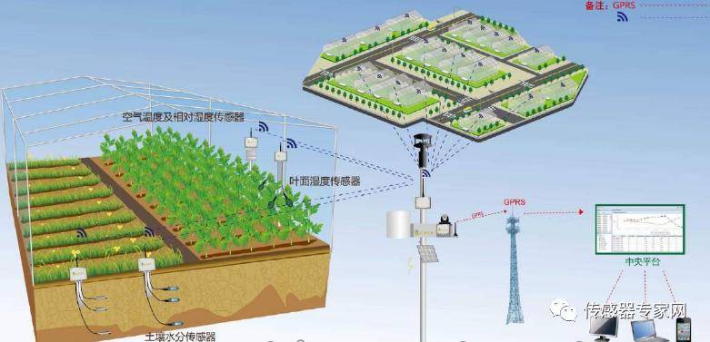 仿真植物与液位检测仪的区别