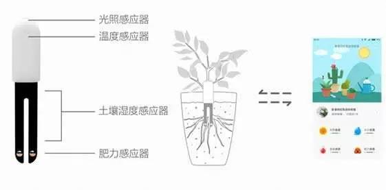 仿真植物与液位检测仪哪个好