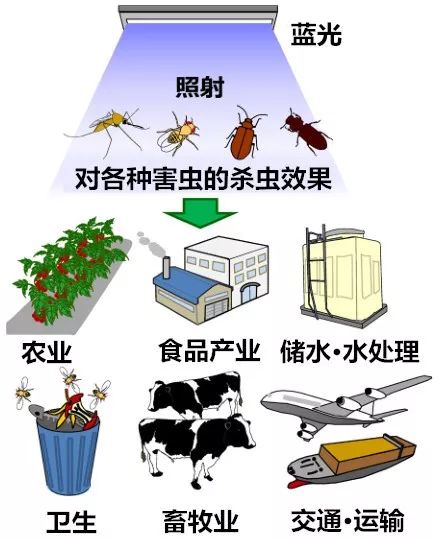 驱虫灭害化学品与光纤消毒方法