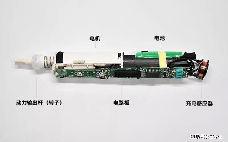 电动牙刷传动原理