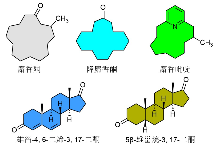 香精基的组成