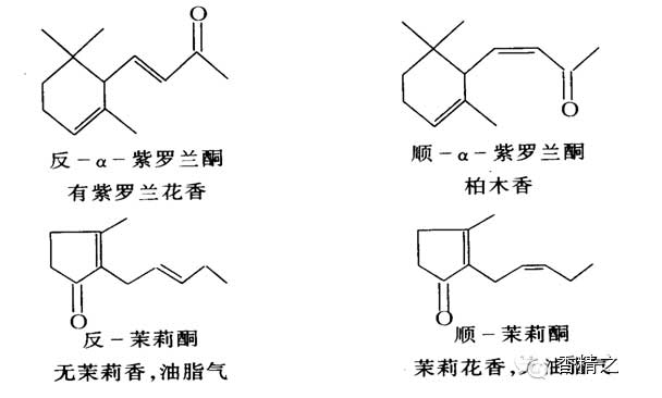 香精基的组成