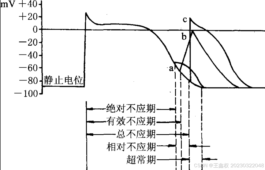 网内电位差