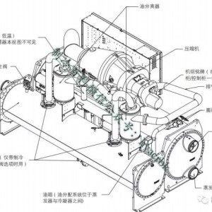 装饰瓷器与离心式机组和螺杆式机组区别在哪