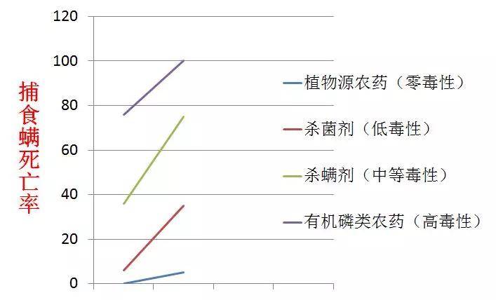 农药的衰减期