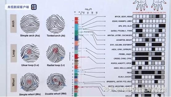 智能锁光学指纹和半导体指纹有什么区别?