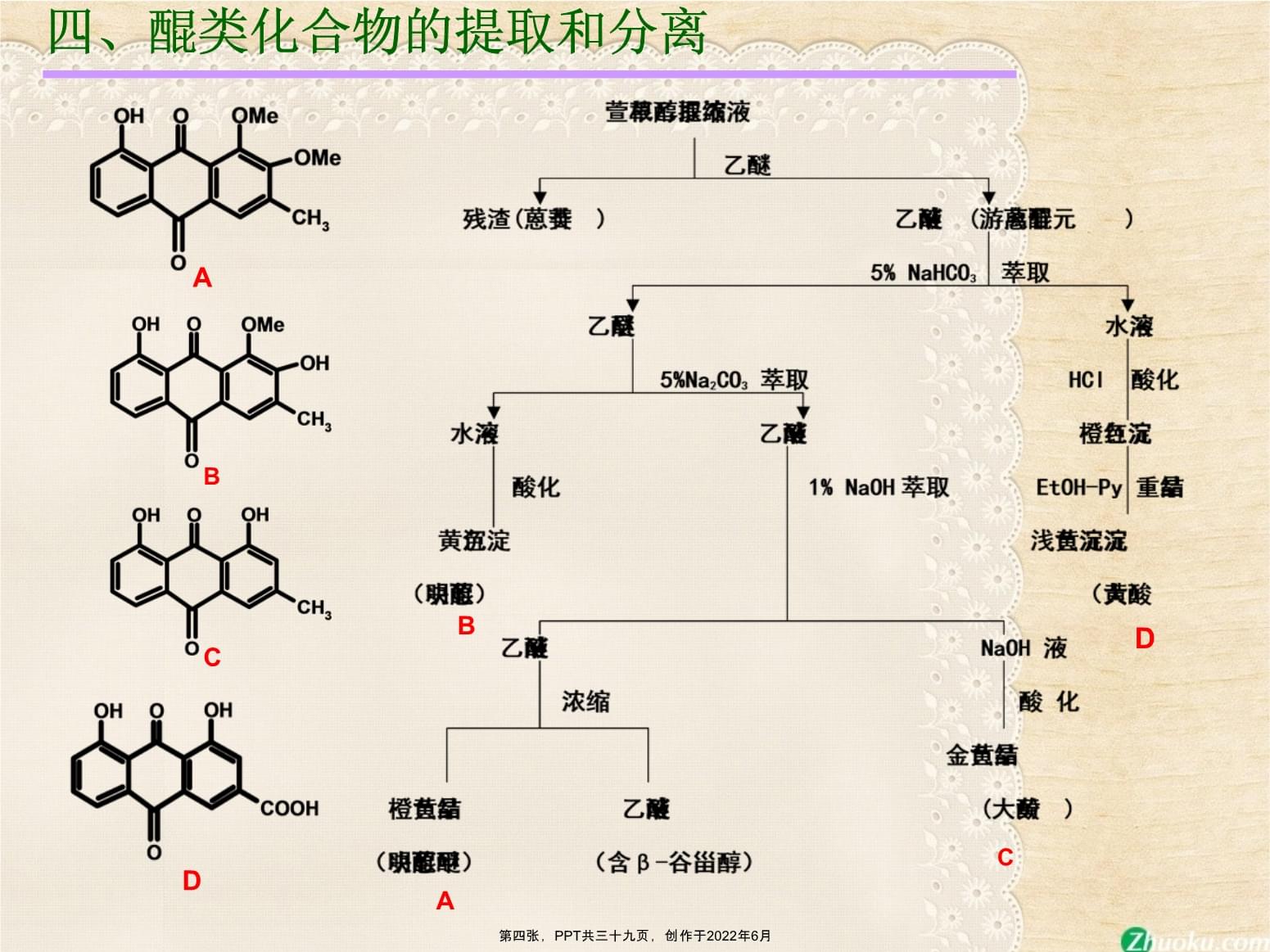 醌类化合物分离流程图