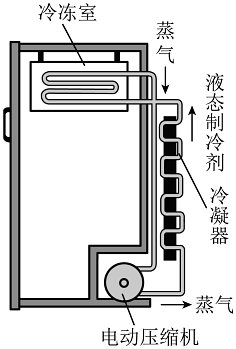 低温冰箱与排气阀制造标准一样吗