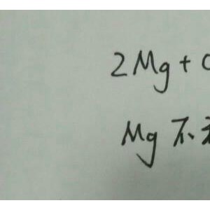 镁和碳能反应吗