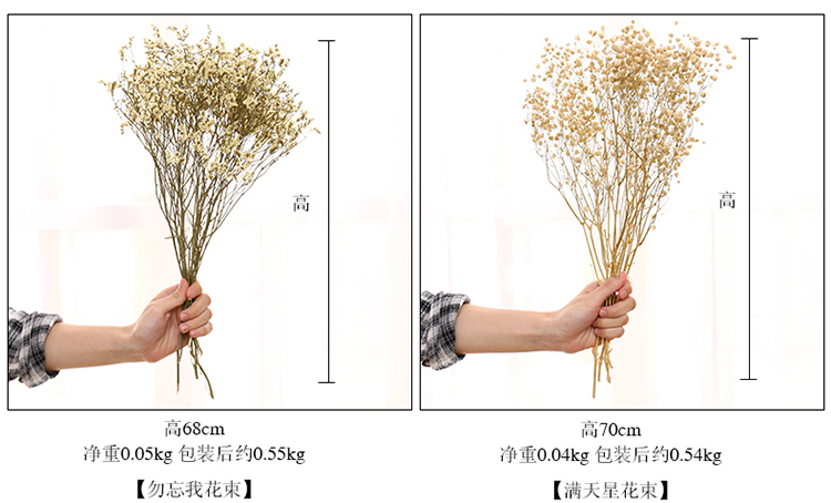 干花和仿真花的区别