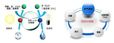 光触媒和气触媒哪个好