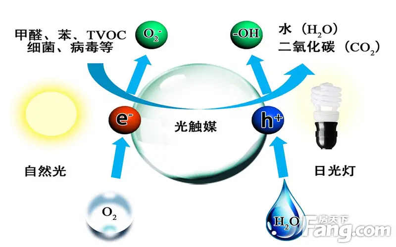 光触媒和气触媒哪个好