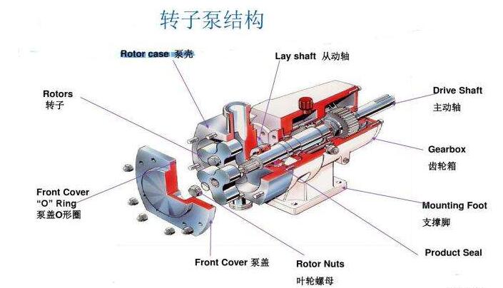 转子泵的结构