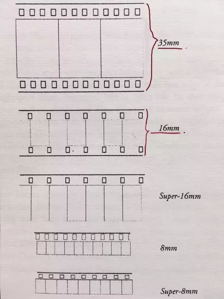 胶卷顺序