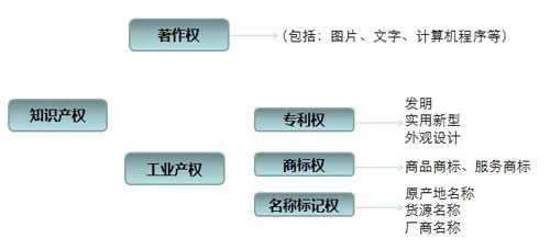 知识产权权限