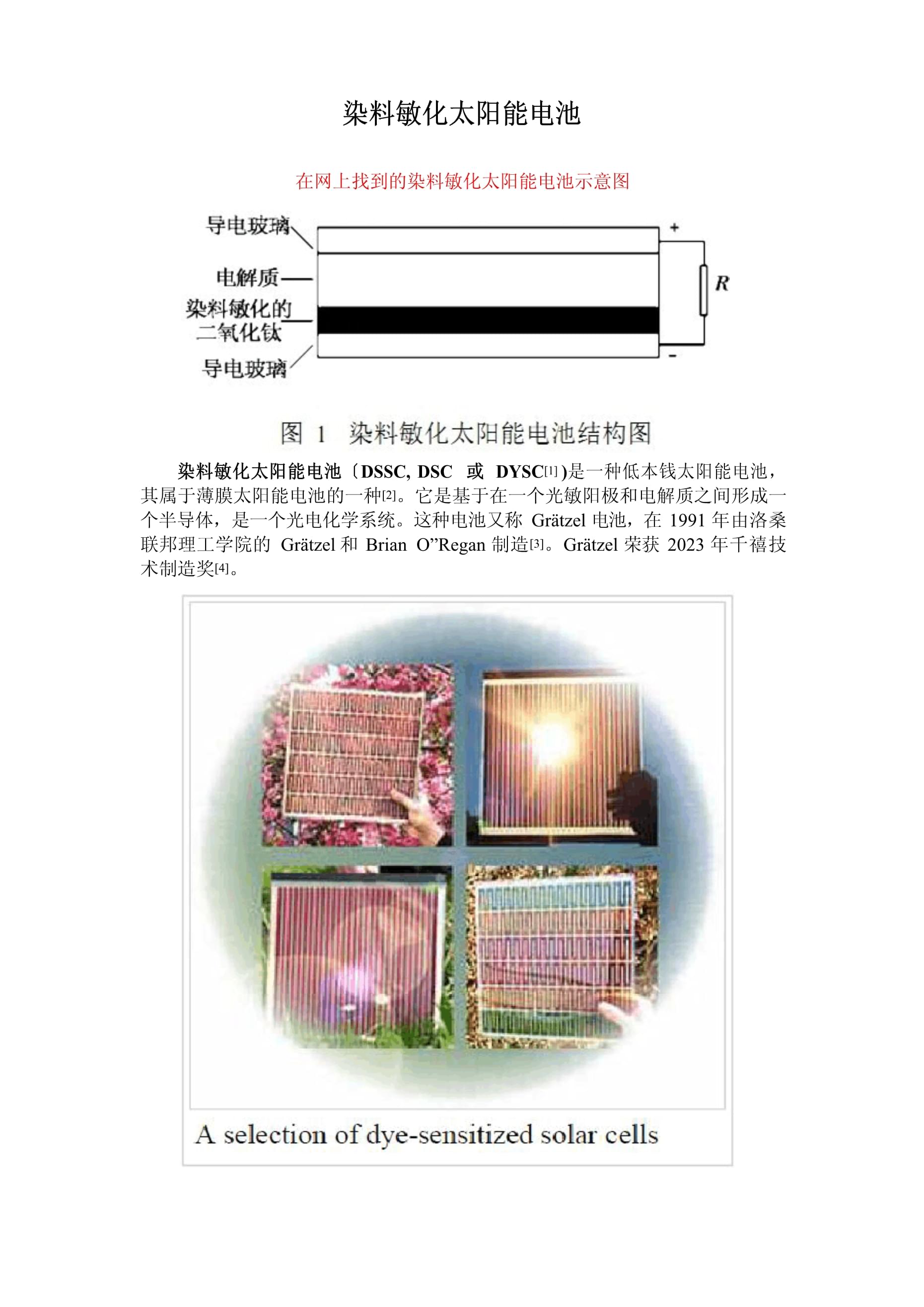 染料敏化太阳能电池中染料的作用