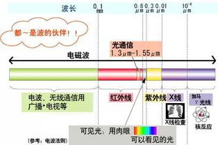 电磁波可以通过电缆光缆传播吗