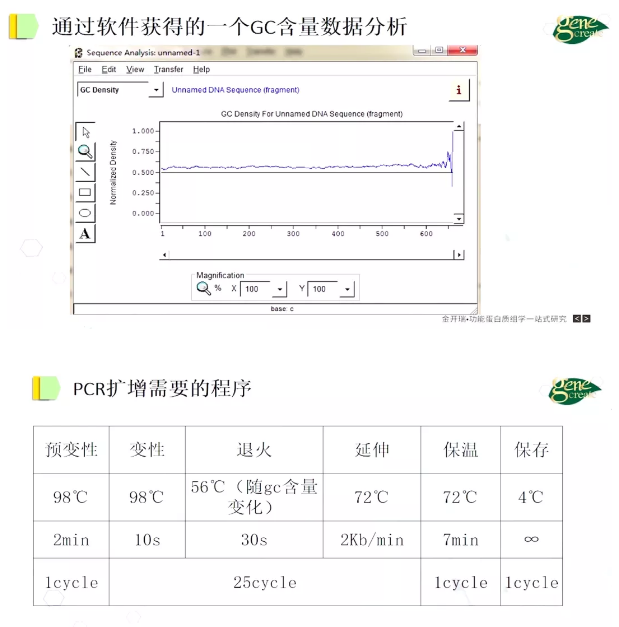 pcr扩增温度设置