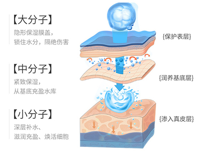 面膜水合作用的原理