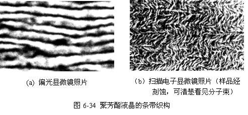 偏光显微镜观察聚合物的结晶形态