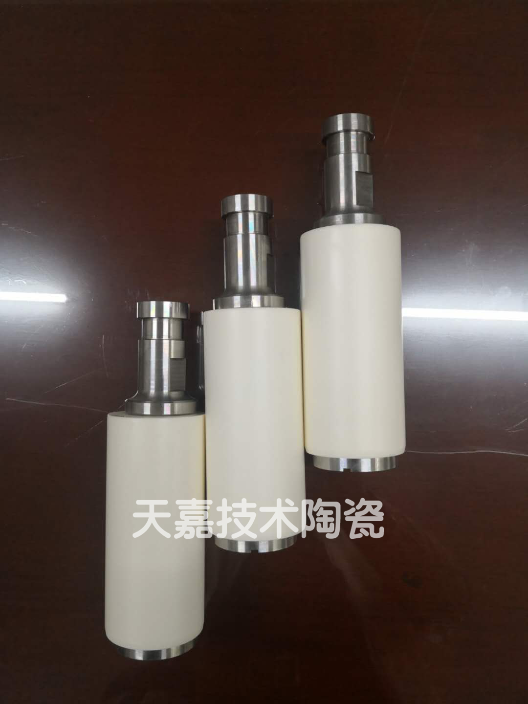 陶瓷柱塞和喷瓷柱塞