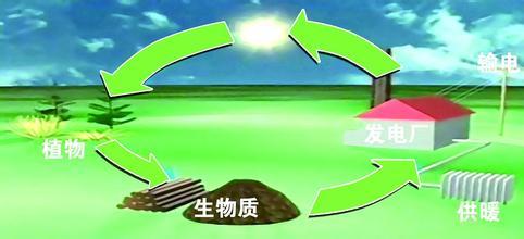 生物能源开发有哪些
