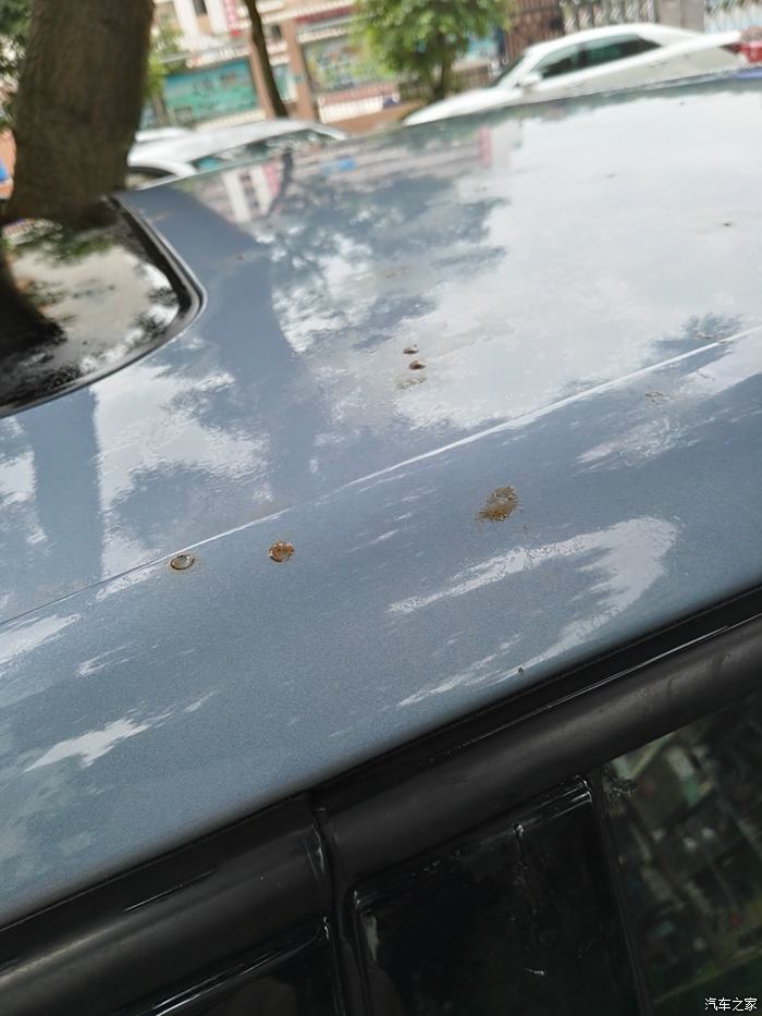 车顶有树油买什么清洗