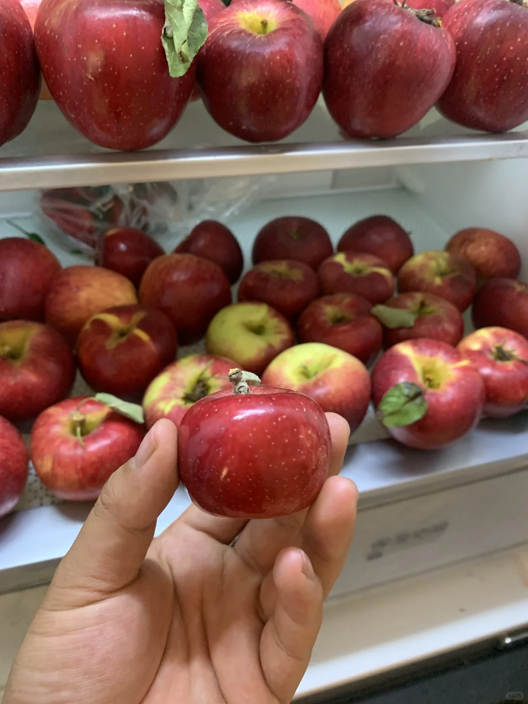 一直放小苹果会怎么样